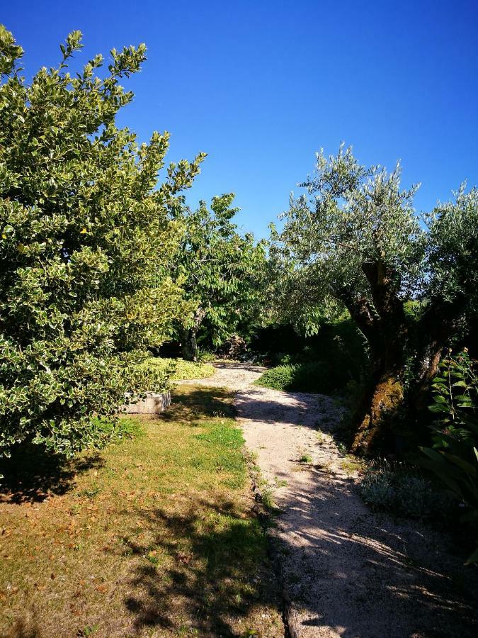 הוילה Alviobeira A Casa Da Fonte מראה חיצוני תמונה